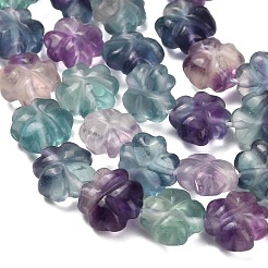 Natural Fluorite Carved Beads Strands&nbsp;G-L634-J04-A02