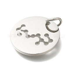 Anti-Tarnish 304 Stainless Steel Pendants&nbsp;STAS-M074-02I-P