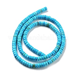Dyed Natural Magnesite Beads Strands&nbsp;G-G121-A01-01