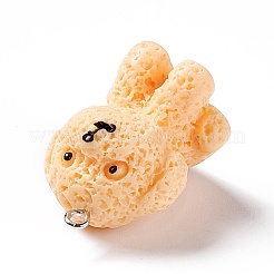 Opaque Resin Pendants&nbsp;RESI-E032-01P-06