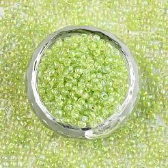 8/0 Glass Seed Beads&nbsp;X1-SEED-A016-3mm-212