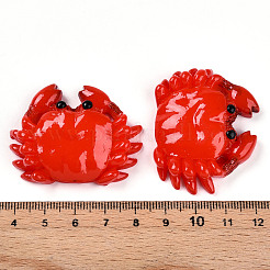 Resin Cabochons&nbsp;RESI-T057-21