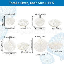 24Pcs 4 Styles Natural Freshwater Shell Carved Pendants&nbsp;BSHE-PH0001-48