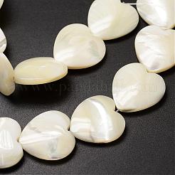 Natural Trochid Shell/Trochus Shell Beads Strands&nbsp;SSHEL-K012-02