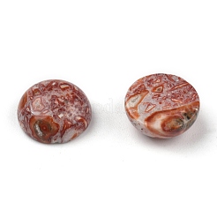 Natural Leopard Skin Cabochons&nbsp;X-G-LS12x5