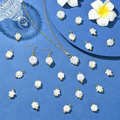 70Pcs 7 Styles Acrylic Imitation Pearl Pendants&nbsp;PALLOY-CJ00172