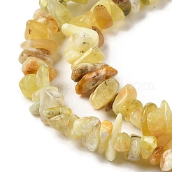 Natural Yellow Opal Chip Beads Strands&nbsp;G-G905-15