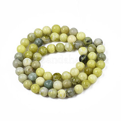 Natural Yellow Mustard Jasper Beads Strands&nbsp;G-Q462-6mm-39