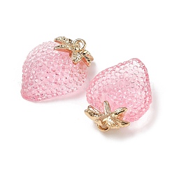 Alloy Resin Pendants&nbsp;CRES-D306-09G-B
