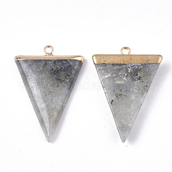 Electroplate Natural Labradorite Pendants&nbsp;G-S344-49D