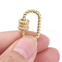 Brass Screw Carabiner Lock Charms&nbsp;ZIRC-E164-09G