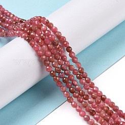 Natural Rhodonite Beads Strands&nbsp;G-C009-A18