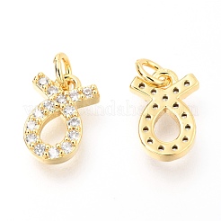 Brass Micro Pave Clear Cubic Zirconia Charms&nbsp;ZIRC-O036-30G-E