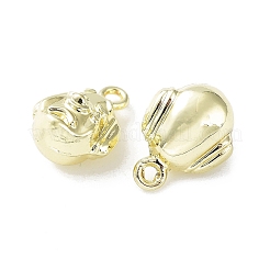 Rack Plating Alloy Charms&nbsp;PALLOY-Q458-02G