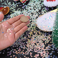 50G Christmas Plastic Snowflake Sequins&nbsp;MRMJ-CY0001-04