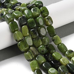 Natural Canadian Jade Beads Strands&nbsp;G-P497-01D-01