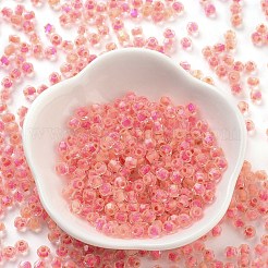 Glass Seed Beads&nbsp;SEED-A032-01E
