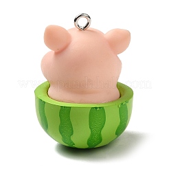 Opaque Resin Pendants&nbsp;RESI-P030-04P
