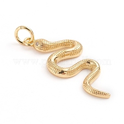 Brass Micro Pave Cubic Zirconia Pendants&nbsp;ZIRC-E164-24G