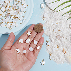 80Pcs 8 Styles Natural Freshwater Shell Pendants&nbsp;PALLOY-ME00032