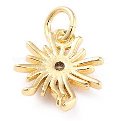 Brass Clear Cubic Zirconia Charms&nbsp;KK-J276-09G