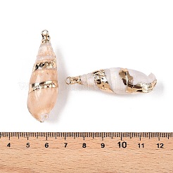 Natural Conch Shell Big Pendants&nbsp;SSHEL-N038-28