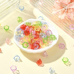 Transparent Acrylic Bead Caps&nbsp;MACR-CJC0006-01