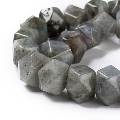 Natural Labradorite Beads Strands&nbsp;G-I194-46