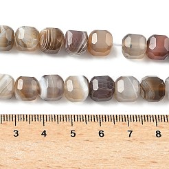 Natural Botswana Agate Beads Strands&nbsp;G-C267-A07