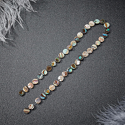 Natural Abalone Shell/Paua Shell Beads&nbsp;SSHEL-BC0001-09