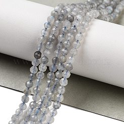 Faceted Round Natural Labradorite Bead Strands&nbsp;G-I156-03-3mm