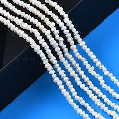 Natural Cultured Freshwater Pearl Beads Strands&nbsp;PEAR-N013-02B
