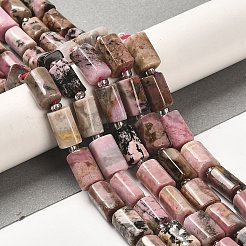Natural Rhodonite Beads Strands&nbsp;G-N327-06-09