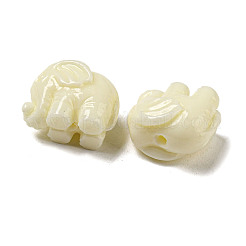 Opaque Resin Animal Beads&nbsp;RESI-H158-01