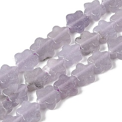Natural Lepidolite/Purple Mica Stone Beads Strands&nbsp;G-B138-C18-01