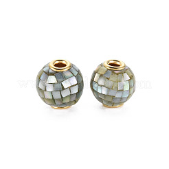 Natural White Shell Mother of Pearl Shell Beads&nbsp;SSHEL-T014-45B