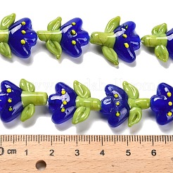 Handmade Lampwork Beads Strands&nbsp;LAMP-A005-03C