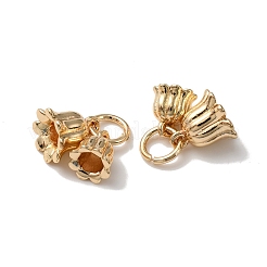 Rack Plating Brass Charms&nbsp;KK-C020-02LG