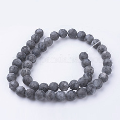 Natural Black Larvikite Bead Strands&nbsp;G-G735-57F-8mm
