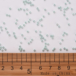 11/0 FGB Grade A Baking Paint Glass Seed Beads&nbsp;X-SEED-N001-A-1031