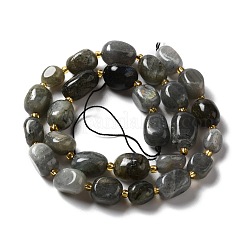 Natural Labradorite Beads Strands&nbsp;G-B028-B04