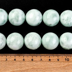 Natural Glass Beads Strands&nbsp;G-I247-31H