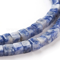 Natural Blue Spot Jasper Beads Strands&nbsp;G-F631-K06