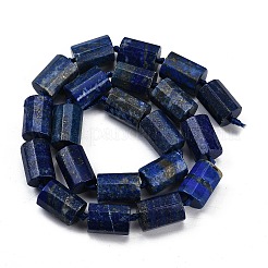 Natural Lapis Lazuli Dyed Beads Strands&nbsp;G-G162-D15-02