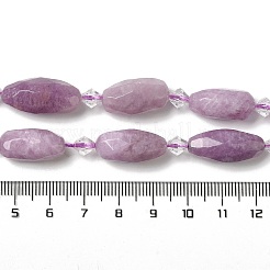 Natural Phosphosiderite Beads Strands&nbsp;G-H297-A06-01
