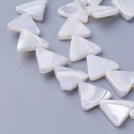 Shell Beads Strands&nbsp;SSHEL-E571-28A-1