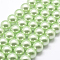 Polished Round Grade A Shell Pearl Bead Strands, Dark Sea Green, 5.5~6mm, Hole: 1mm, about 64pcs/strand, 15.7 inch