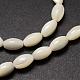 Natural Trochid Shell/Trochus Shell Beads Strands&nbsp;SSHEL-K008-06-3