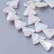 Shell Beads Strands&nbsp;SSHEL-E571-28A-1
