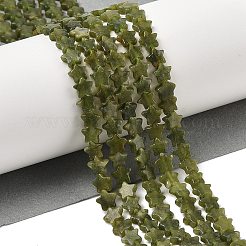 Natural Chinese Jade Beads Strands&nbsp;G-H087-C04-01